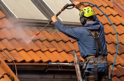 Démoussage et hydrofuge de toiture au Temple-de-Bretagne